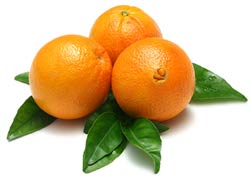 Oranges Navel